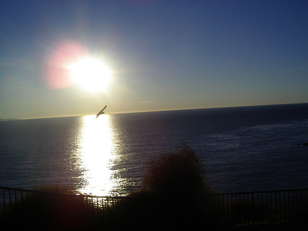 An image of a Candle Shore sunset.